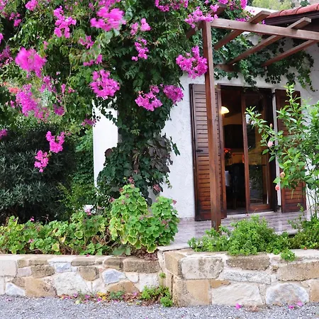 Nyaraló Vista Del Mar Kíszamosz