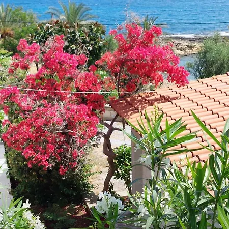 Vista Del Mar *